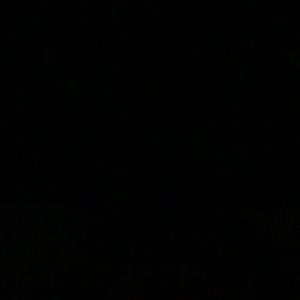 Meet your Posher, Elisa